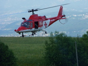 P1010009