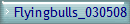 Flyingbulls_030508