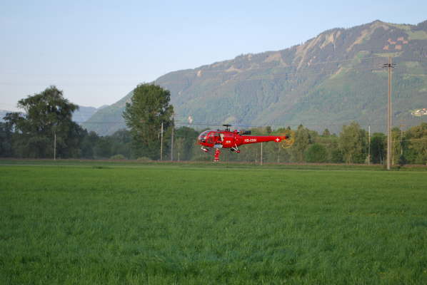 das elektro doch fliegt