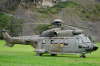 Superpuma