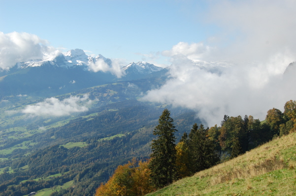 Die herrliche Aussicht