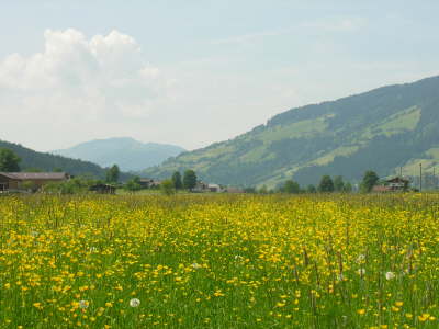 Brixen Flugfeld Sicht Nord