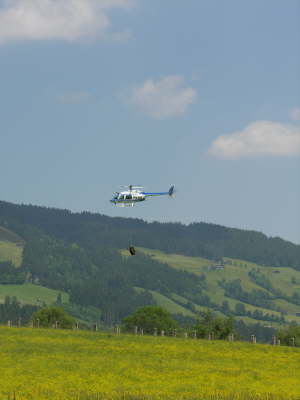 Brixen_040605 053