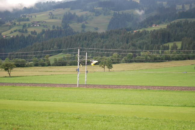 Harald auf dem Rcken