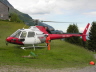 Ecureil der Heli Linth