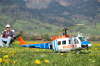 Wucher Bell 205