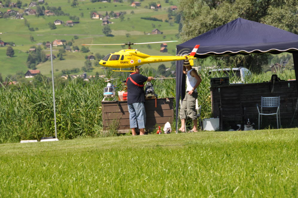 Ecureil im Vorbeiflug