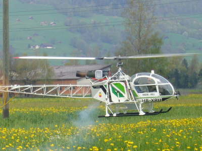 Helifliegen_300406 041