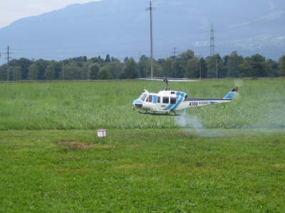 Die schne Bell 205 von Werner