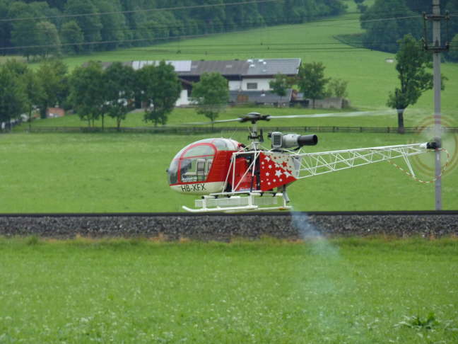 Das wunderschne LAMA von Walter