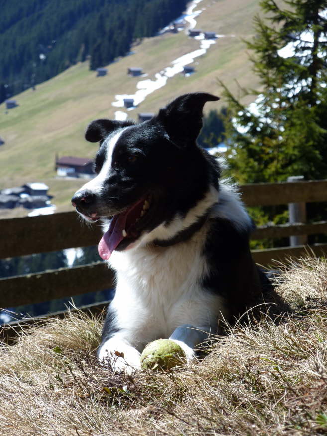 Charly geniesst es mit uns