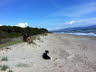 Sandstrand vor Piombino