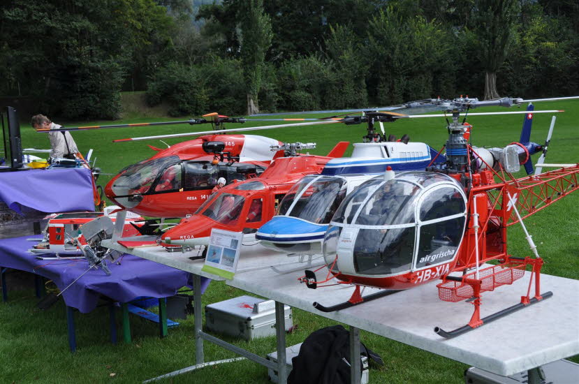 Die Flotte mit Lama, Bell, Agusta und EC